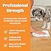 SKOUT'S HONOR Dog Urine Destroyer - Better, Faster and Stronger - Professional Strength, Plant-Powered, Cruelty-Free Urine Eliminator for Carpets and Indoor Living Spaces, 128 oz.