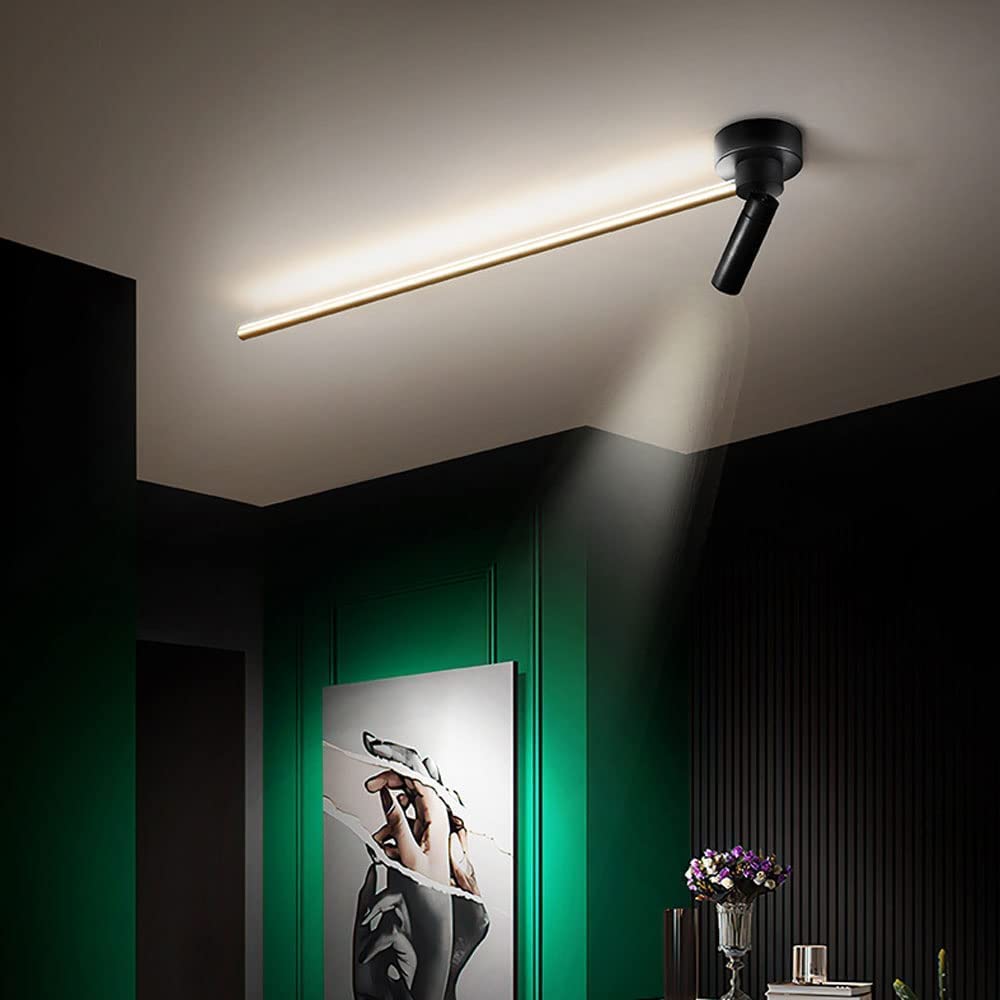 Foco De Techo Focos De Aluminio Montados En Superficie, Iluminación De Imagen De Marco, Lámpara De Espejo De Tocador De Baño Ajustable, Focos Giratorios De Pared for Pasillo De Galería(63cm)