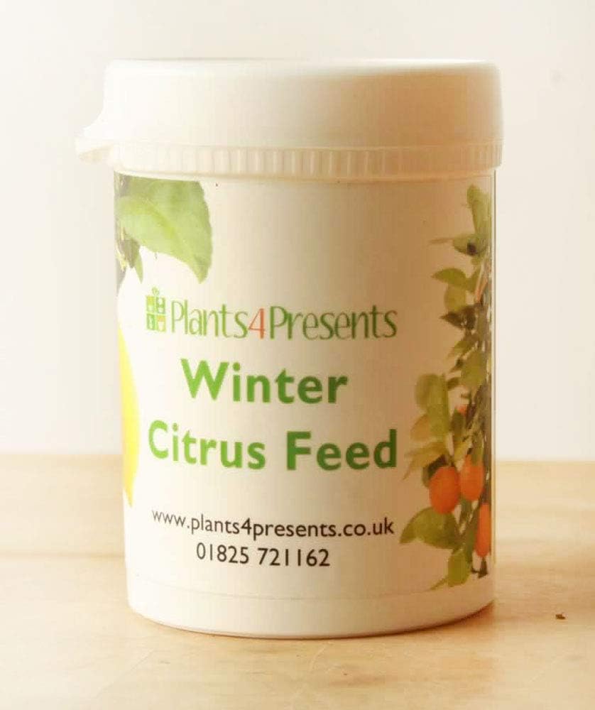 Citrus Feed - Winter - Small tub 150 gm