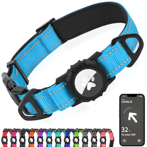 Joytale Airtag Dog Collar in Sky Blue