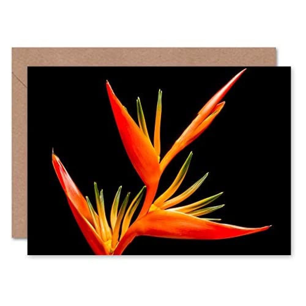 Fine Art Prints Brown Bird Of Paradise Flower Greetings Card