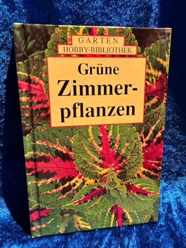 Grüne Zimmerpflanzen