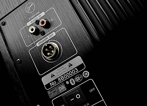 Image of SWANS D1080-IVB Active Powered 2.0 Bluetooth Bookshelf Speakers from HiVi- HiFi