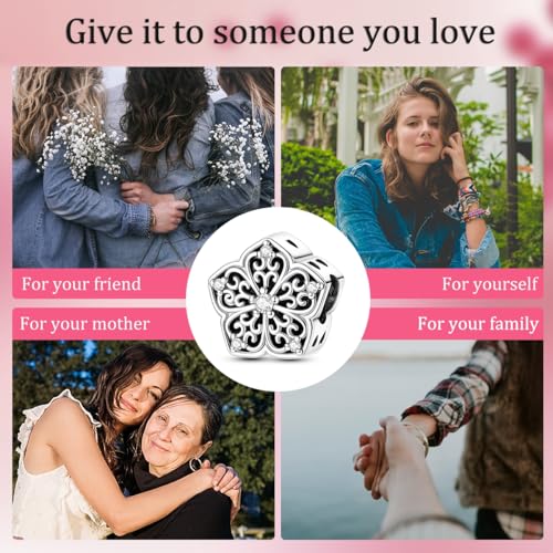 Image of 925 Sterling Silver Charms,Hypoallergenic Beads,Compatible with Pandora Bracelets and Necklaces,Women Holiday Gift Pendants