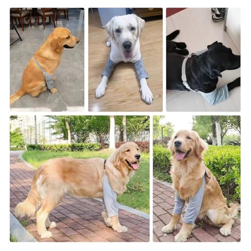 Image of MANON ROSA Dog Elbow Pads - Knee Wrap Front Leg Sleeves for Large Dogs, Wound Protection & Anti-Licking Brace for Injured Legs or Joints (Sleeve Length 13.3in,Suit. Wt 80-95lbs, 2XL, Gray)