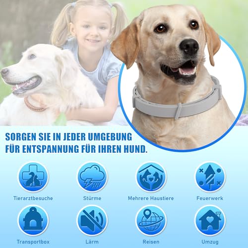 Yineaae 6 Stück Beruhigungsmittel Calm Halsbänder für Hunde mit Pheromon, Beruhigung Hund Hilft Unerwünschtes Verhalten zu Reduzieren, Stressabbau, Hält 120 Tage, Flexibel Einstellbar für Alle Hund