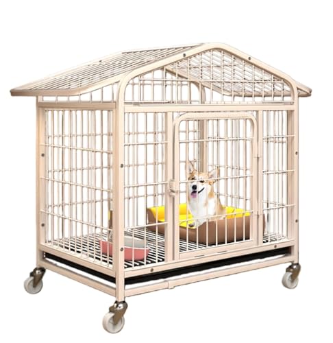 ���p�P�[�W �y�b�g �� �Q�[�W �� ���̃y�b�g ���^��^���p ���p�x�r�[�T�[�N�� �X�e�����X�X�`�[�������p ���b�N���h�A�Ǝԗ� �p�̎��O���\�ȃg���C ���� �� �T�[�N�� �y�b�g �g���ȒP �|���ȒP ����̌��p ���^�� ���^�� �g�C���t�� ������^�� �y