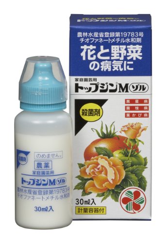 最安値 ウテナ ゆず油無添加ヘアオイル 箱60ml 9313 の価格比較 最安値 ウテナ ゆず油無添加ヘアオイル 箱60ml 9313 の価格比較