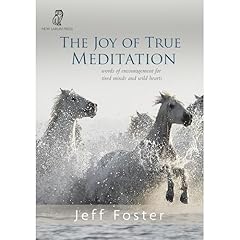 The Joy of True Meditation Audiolibro Por Jeff Foster arte de portada