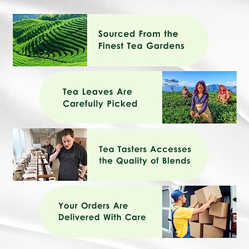 Image of Tealeaf & Co. Turmeric Tulsi Holy Basil Green Tea Loose Leaf - Turmeric, Tulsi & Peppermint Tea Blended with Fresh Herbs & Spices - 50 Servings, Low Caffeine & Gluten Free (3.52oz /100gm)