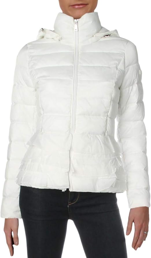 the north face down jacket