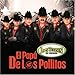 El Papa De Los Pollitos