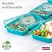 GoodCook Meal Prep Rectangle Two Compartment 20-Piece, Teal, Made without BPA