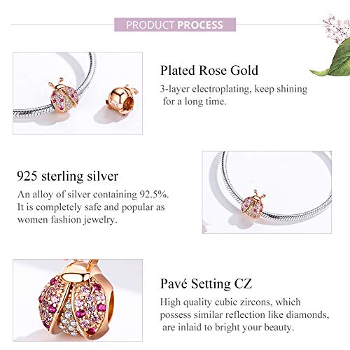 Image of ARTCHARM The Ladybird Charm Genuine 925 Sterling Silver Colorful Enamel Bead for European Bracelets Birthday (Rose Gold)