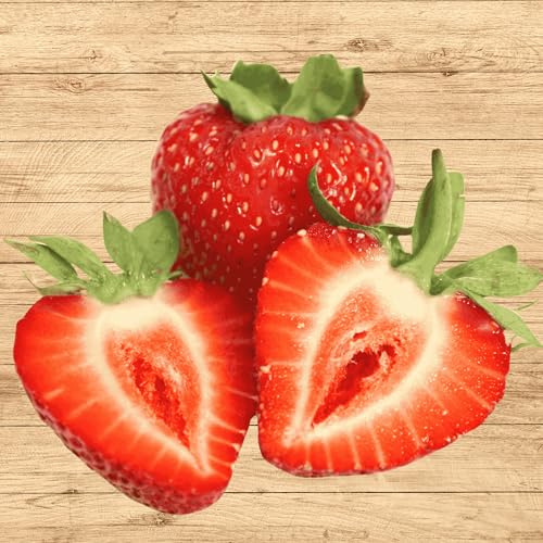 Albion Day Neutral Strawberry Plants - Large Berries and High Yields - Bare Root Strawberry Plants from Hand Picked Nursery (25)