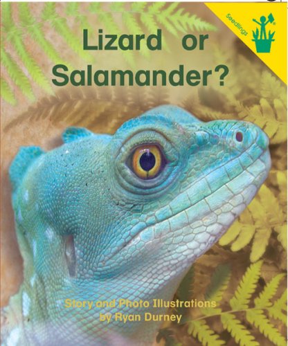 Ryan's Lizard Early Readers: Lizard or Salamander?: Ryan Durney: 9780845447109 ...