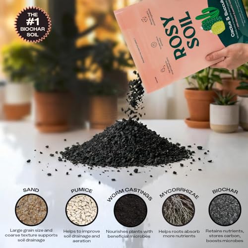 Image of Rosy Soil Cactus & Succulent Potting Mix, 4 Quarts, Pack of 2 | Organic Succulent Potting Soil, Chunky Fast Draining, Peat-Free, Root Boosting Mix, For AloeVera, Cacti, Indoor Succulents