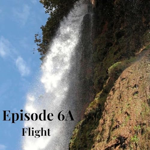 6A: Flight