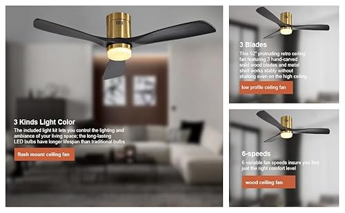 Rela Mall 52" Low Profile Ceiling Fans With Lights Remote Control, Outdoor Flush Mount Ceiling Fan For Patios Waterproof, Modern Matte Black Ceiling Fans Noiseless Dc Motor #TOP3