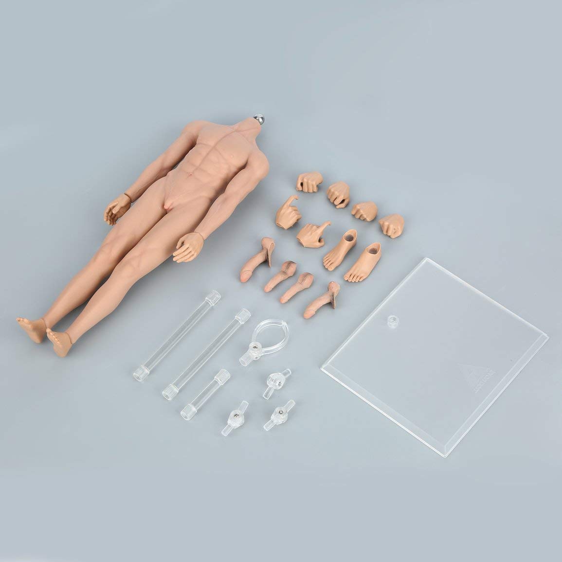 SUPER FLEXIBLE BODY フィギュア 1/6 JIAOU Doll Seamless Male Body Sculpture Super Flexible Steel