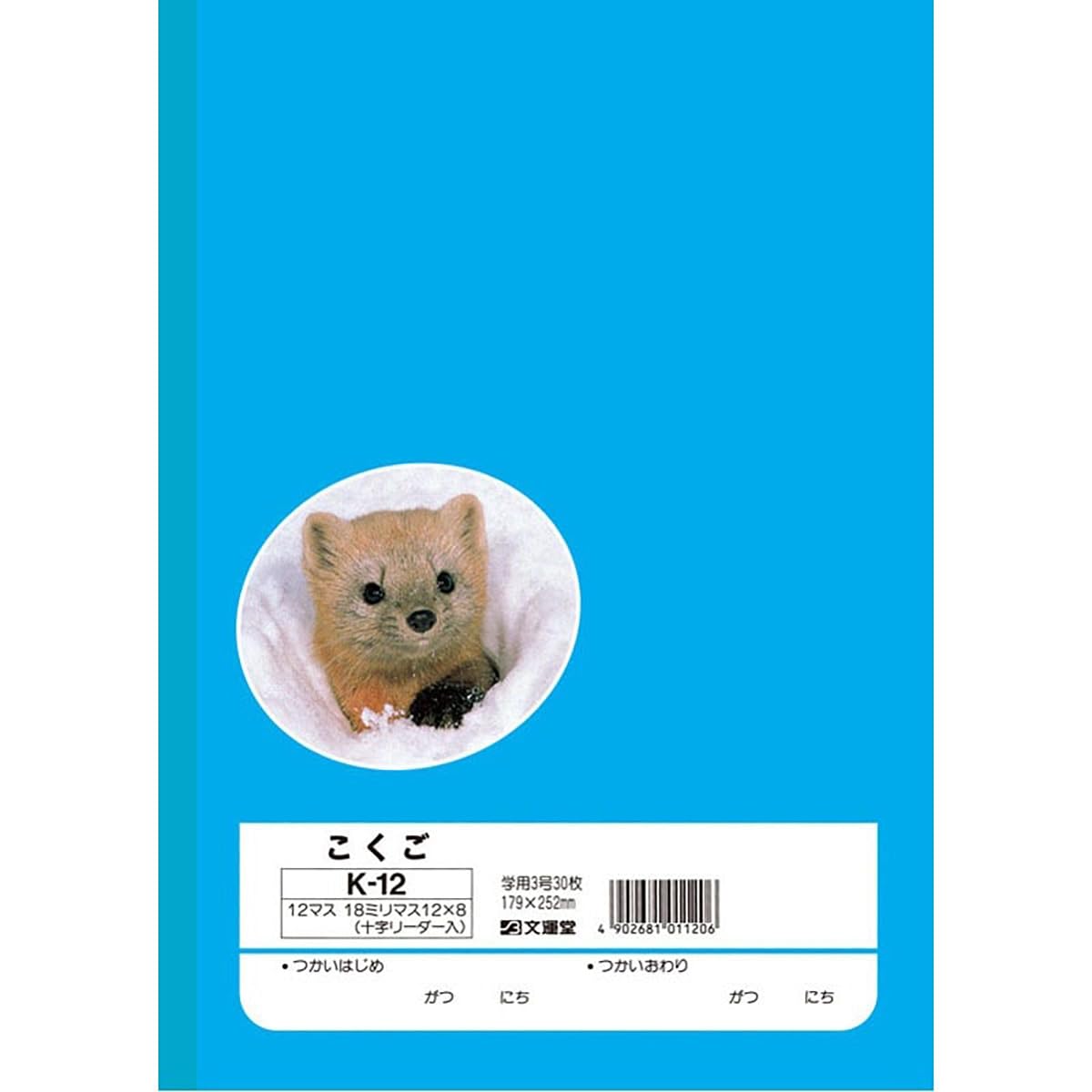 Japanese Character Practice Notebook Set