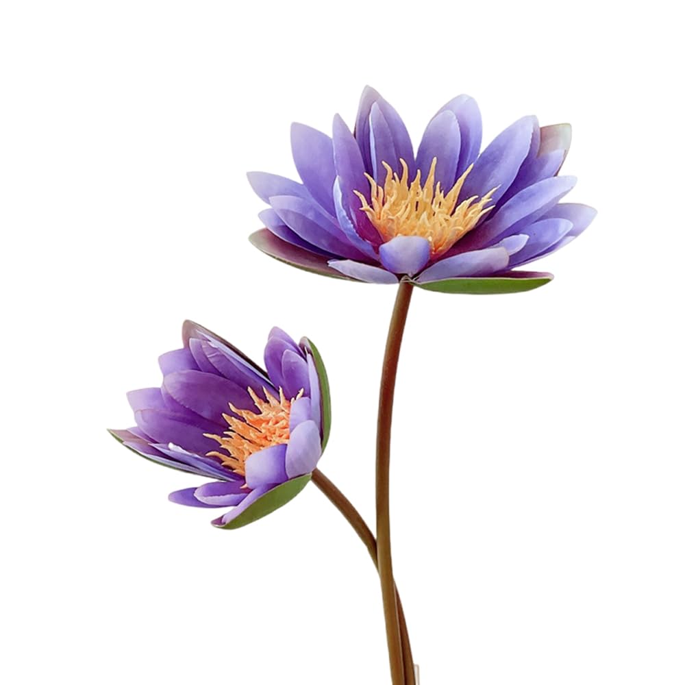 BQEE Artificial Water Lily Bouquet, Artificial Lotus,60cm/23.6 inches, 2 Flower Sticks for Wedding, Home, Office Decor (purple)