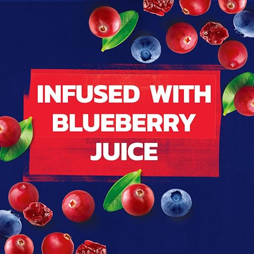Image of Ocean Spray Craisins Blueberry, Dried Cranberries Infused with Blueberry Juice, Dried Fruit, 6 Oz Pouches, 12 Count