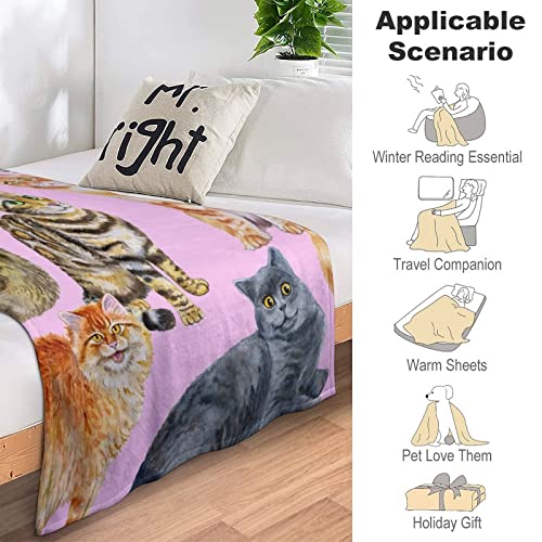 Couverture polaire chat flanelle haut de gamme décorative de lit - 6