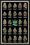 Buyartforless Work Framed Best Buds Educational Cannabis Marijuana 36x24 Art Pint Poster Wall Decor Dispensary Medical 24 Different Strains with Titles, Black