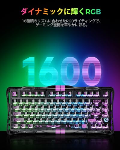 undefined 0.01mmラピッドトリガー 搭載 GravaStar Mercury V75 lite ゲーミングキーボード 有線 着脱式ケーブル ポーリングレート4000Hz対応 有線 75%レイアウト US配列 アクチュエーションポイント バックライトRGB 磁気式スイッチ 透明ブラック の商品画像 5