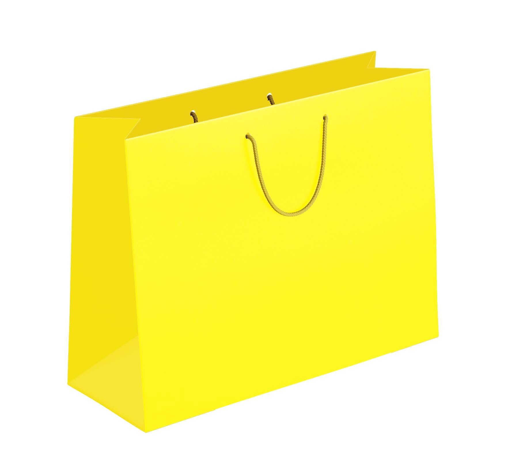 Plain Yellow Paper Bags for Return Gifts | Pack of 10, Size 17x13x4 inch by Apex | Perfect for Birthdays, Parties, Baby Shower, Wedding, Diwali, Raksha Bandhan, and Celebrations (B0C7HJQPXS) Amazon Price History, Amazon Price Tracker