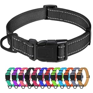 TagME Collier pour Chien, Collier en Nylon Réfléchissant Réglable Classique Convient pour Moyens Chiens, Noir, 2.5cm Largeur