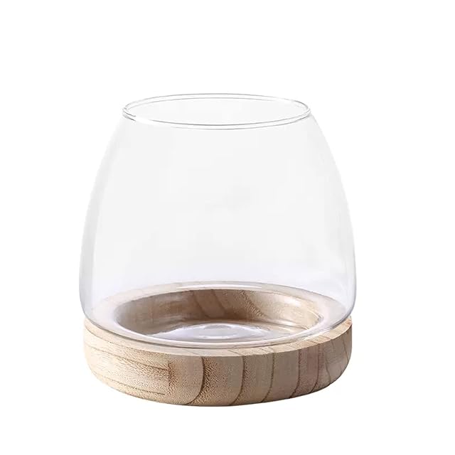 Jarrón de cristal transparente, maceta de vidrio hidropónico, jarrón de vidrio, pecera de mesa