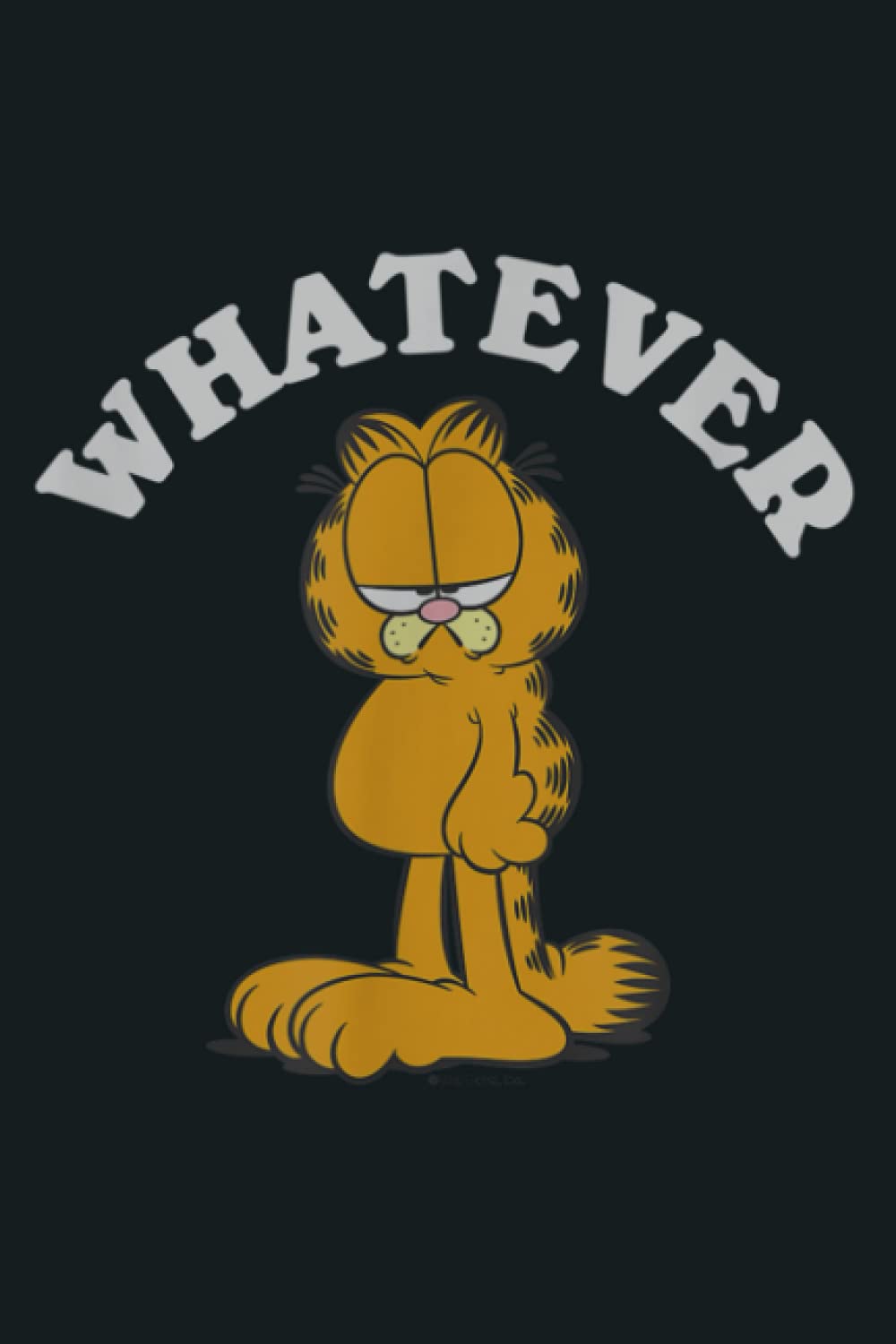 Garfield Whatever: notebook, notebook journal beautiful , simple, impressive,size 6x9 inches, 114 paperback pages