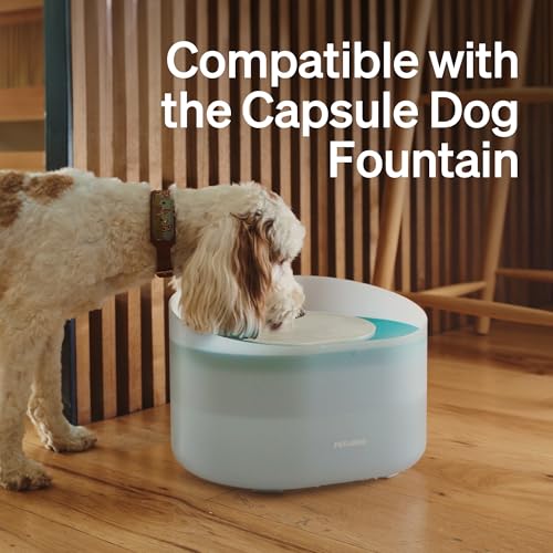 Image of PETLIBRO Replacement Water Pump for Dog Water Fountain WF008, Ultra-Quiet Pet Pump and Easy-Clean, Only Compatible with PLWF008 Dog Water Bowl Dispenser