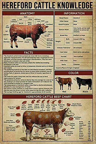 Metal Tin Sign Hereford Cattle Knowledge Animal Education Information Plaque Farm Poster Club Outdoor Home Kitchen Bedroom Decoration 12x18 Inches