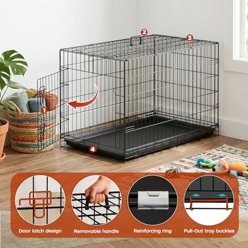 Image of BestPet | Dog Crate | 36 inch | Black | Foldable Metal Kennel with Single Doors