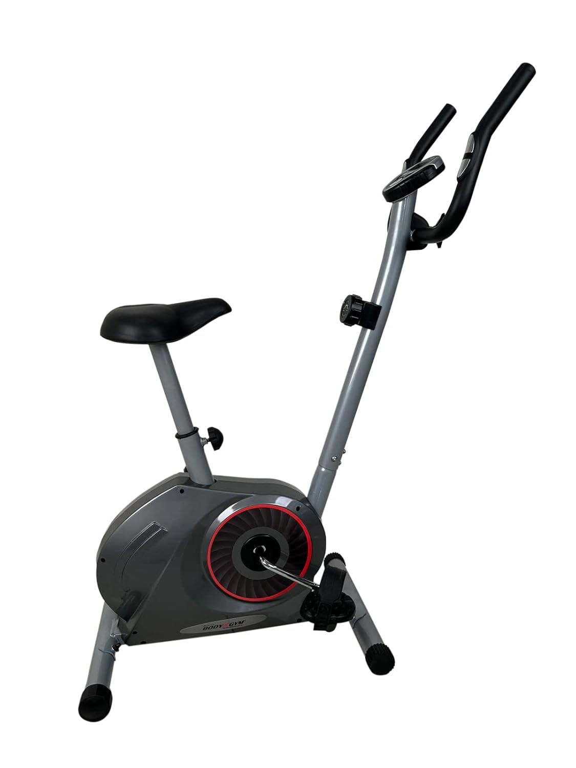 Healthex Exercise Cycle for Home Gym Indoor Upright Stationary