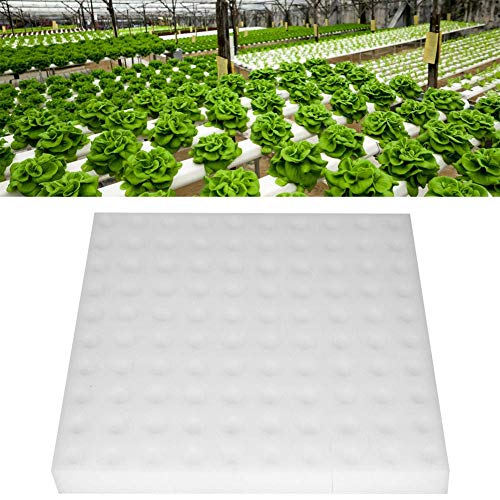 Esponja hidropónica 100 Piezas Esponja hidropónica Herramienta de jardinería de plantación esponjas de plántulas cuadradas para Invernadero Cover