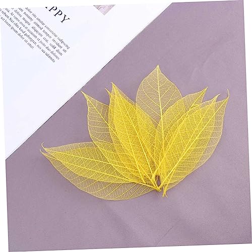 Ciieeo 150 Peças Folha Esqueleto Arte Folhas De Esqueleto Para Artesanato Folhas Prensadas Folhas De