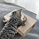 Billowvolve 5 Löcher Holz Interaktives Katzenspielzeug Jagd Spielzeug Maulwurf Maus Spielzeugen Katzen fangen Mäuse Spiel für Katzen Trainieren Kratzen Katzenkratzbrett