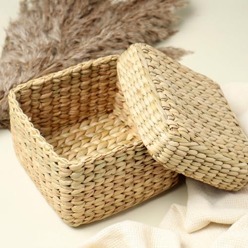 Habere India-All the Cultures Fabricating India Wicker Lid Box | Basket with Lid | Storage Box | Gift Hamper Basket | Seagrass Wardrobe Organizer - Rectangular, Beige (Size - 13 * 13 * 9 CM)