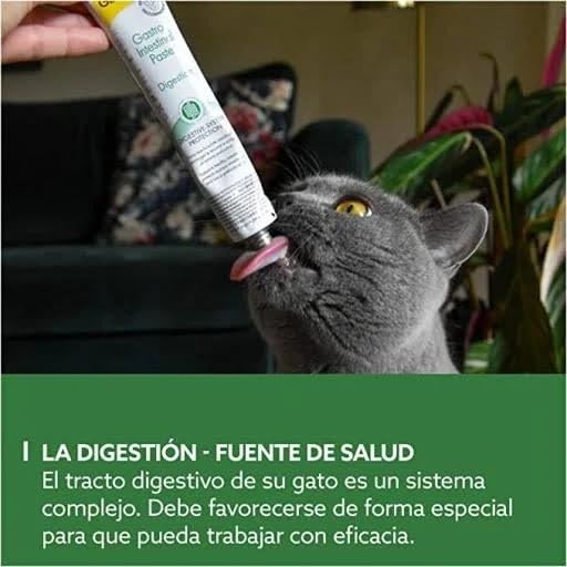 Image of DynamicSales (India) GimCat Gastro Intestinal Paste for Cats | Supports Healthy Digestion & Gut Balance | Ideal for Sensitive Stomachs | 50 g