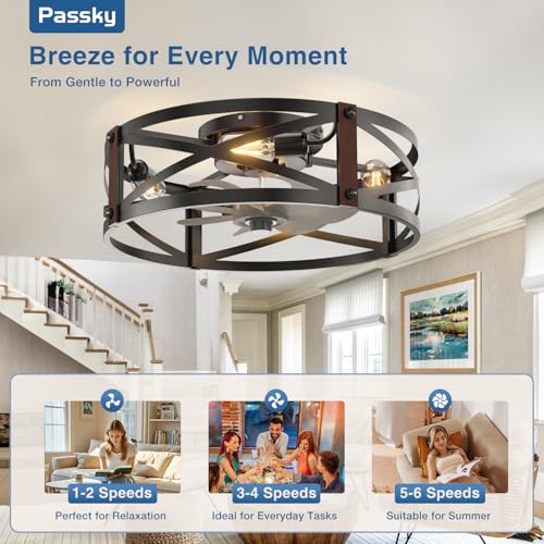 Image of Passky 20 inch Farmhouse Flush Mount Ceiling Fans with Lights and Remote, Industrial Black Caged Low Profile Fandelier, 6 Speeds Bladeless Ceiling Fan for Bedroom, Kitchen, Living Room