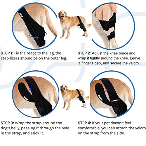 Image of basajaun Dog Knee Brace for Dog ACL Brace Front Leg or Rear Leg, CCL Brace Hind Leg (S)