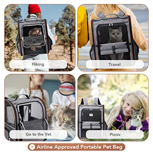 Lekespring Hunderucksack Katzenrucksack mit Trolley 2 in 1 bis 8 kg, Erweiterbar Katzenrucksack Große Transportbox für kleine Hunde und Katzen, Grau-L