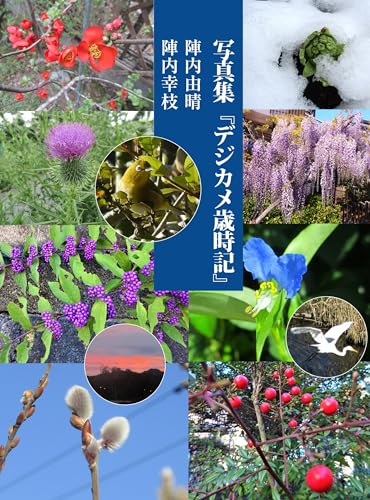 写真集『デジカメ歳時記』のサムネイル