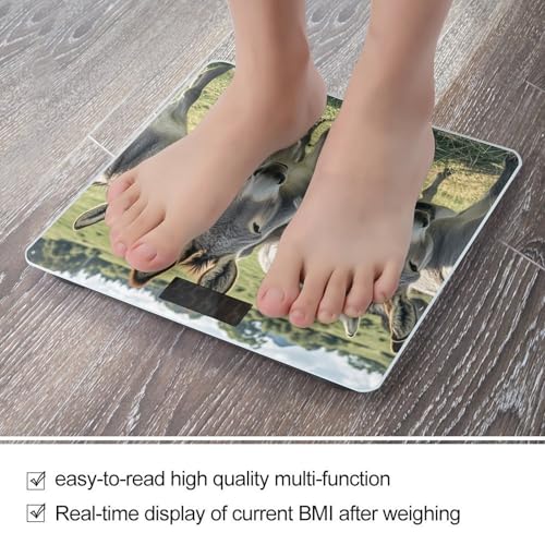 Báscula digital de baño Donkey Animals con vidrio templado miniatura 5