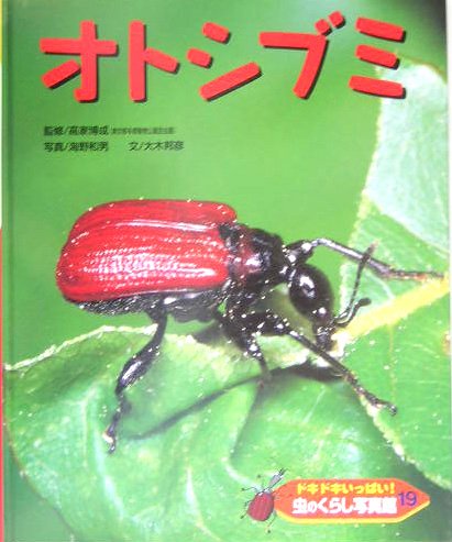 ドキドキいっぱい!虫のくらし写真館〈19〉オトシブミ