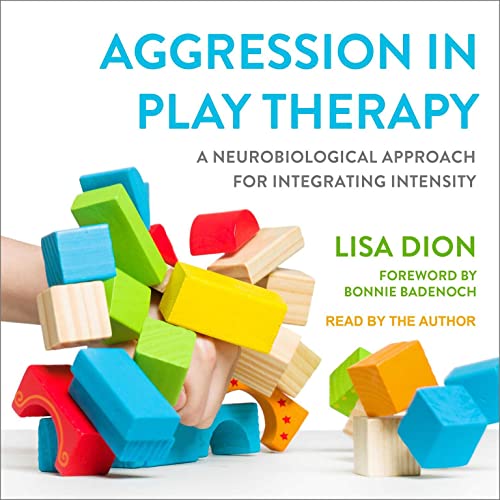 Aggression in Play Therapy: A Neurobiological A... B09QFCLVGG Book Cover